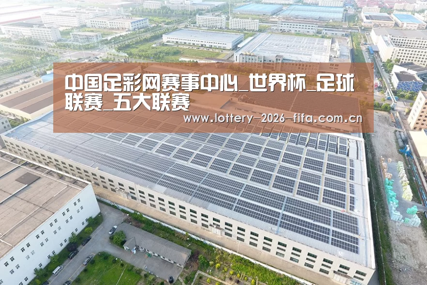案例展示一