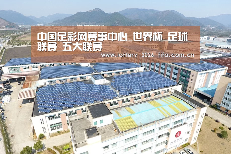 案例展示一