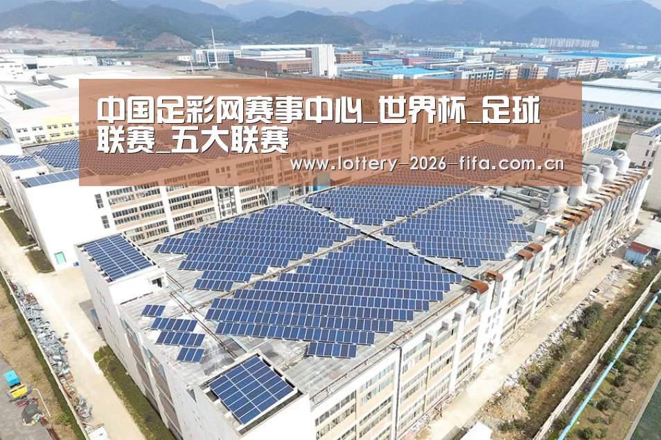 案例展示二