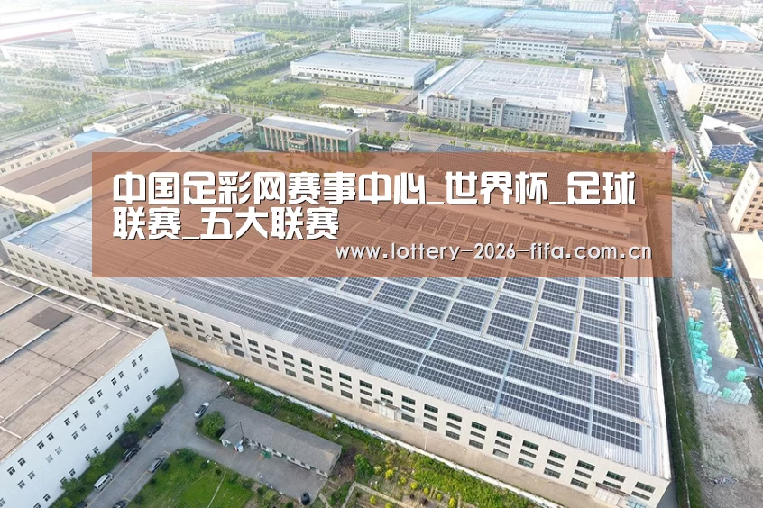 案例展示四